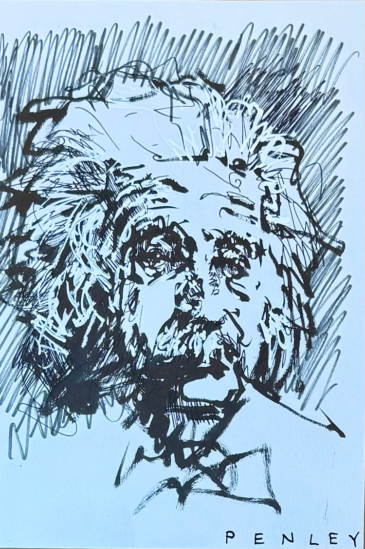 Mini Einstein Sketch