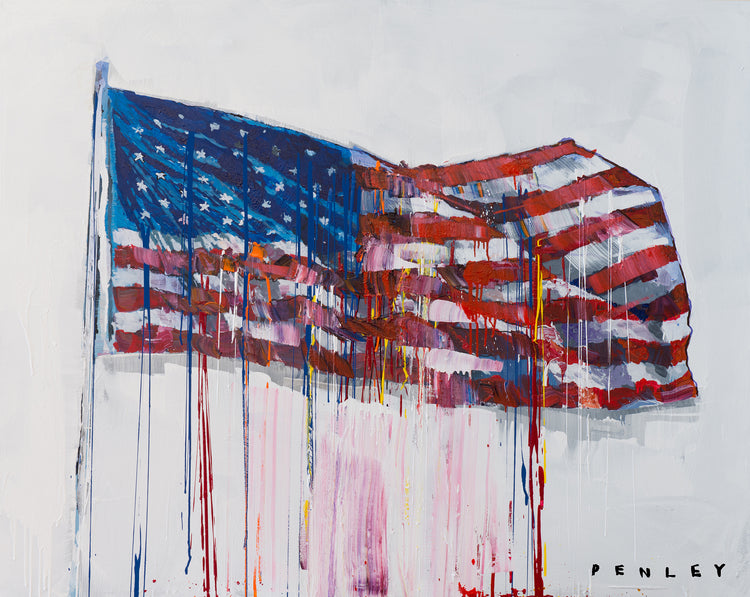 American Flag on white